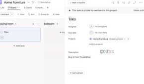 Asana task details