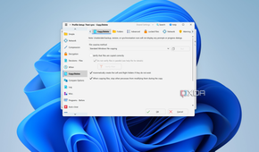 Screenshot of settings for copy and delete operations performed by SyncBack