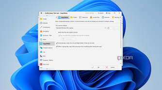 Screenshot of settings for copy and delete operations performed by SyncBack
