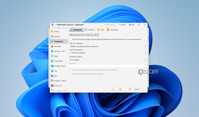 Screenshot of compression settings in SyncBack
