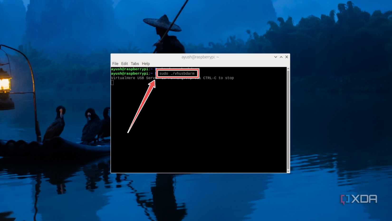 Initialize the VirtualHost server using the vhusbdarm script