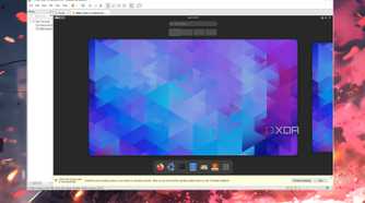 VMware Workstation Pro running NixOS