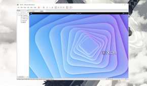 VMware Workstation Pro running NixOS
