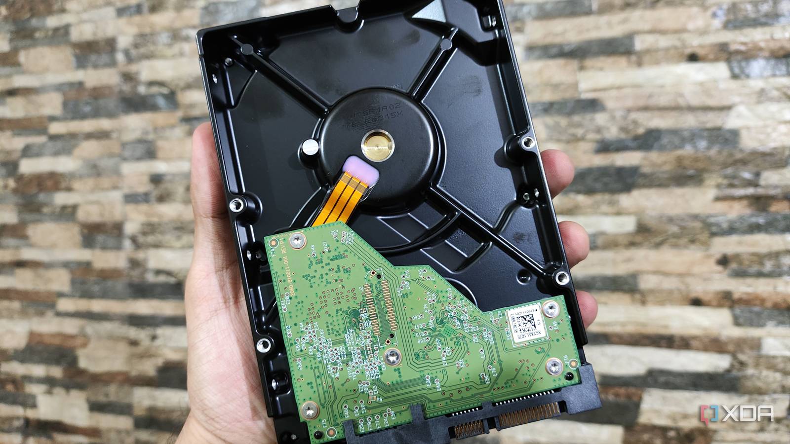 A person holding a WD Blue HDD
