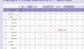 Project performance report in Excel