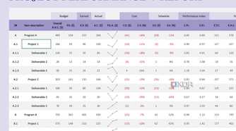 Project performance report in Excel