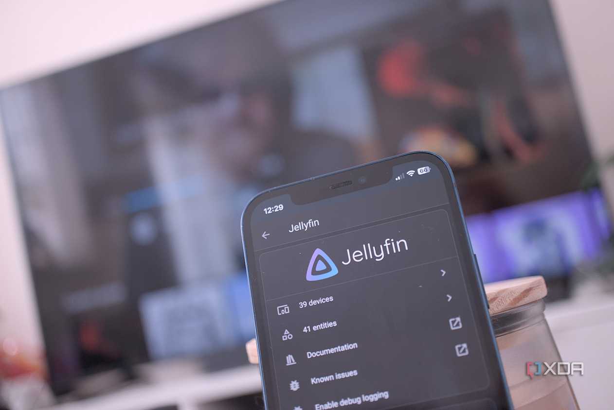 Making the best of Jellyfin to stream at home on different devices
