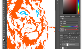 liongraphic-photoshop-adjustment