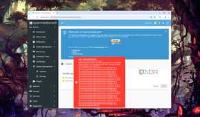 The 500 Service Error when updating the packages in OpenMediaVault