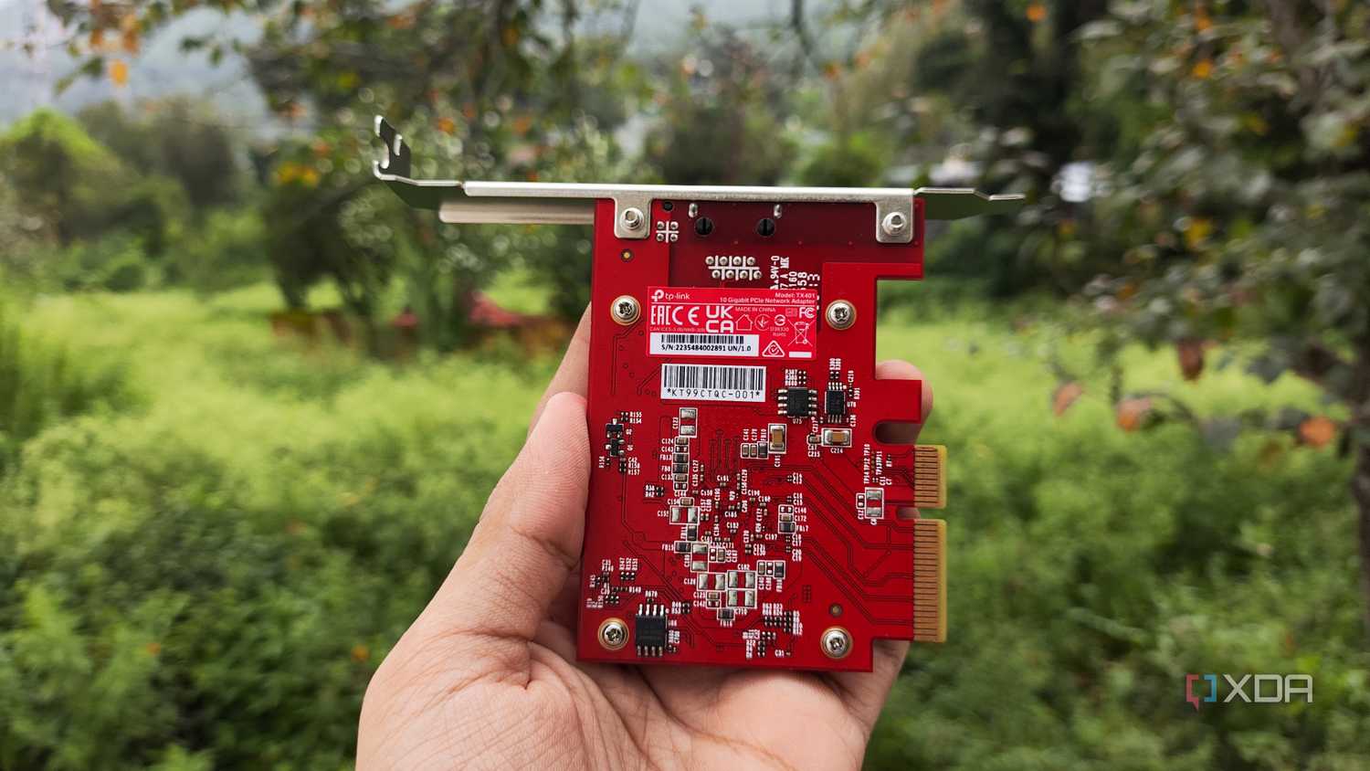A person holding a TP-Link 10G NIC