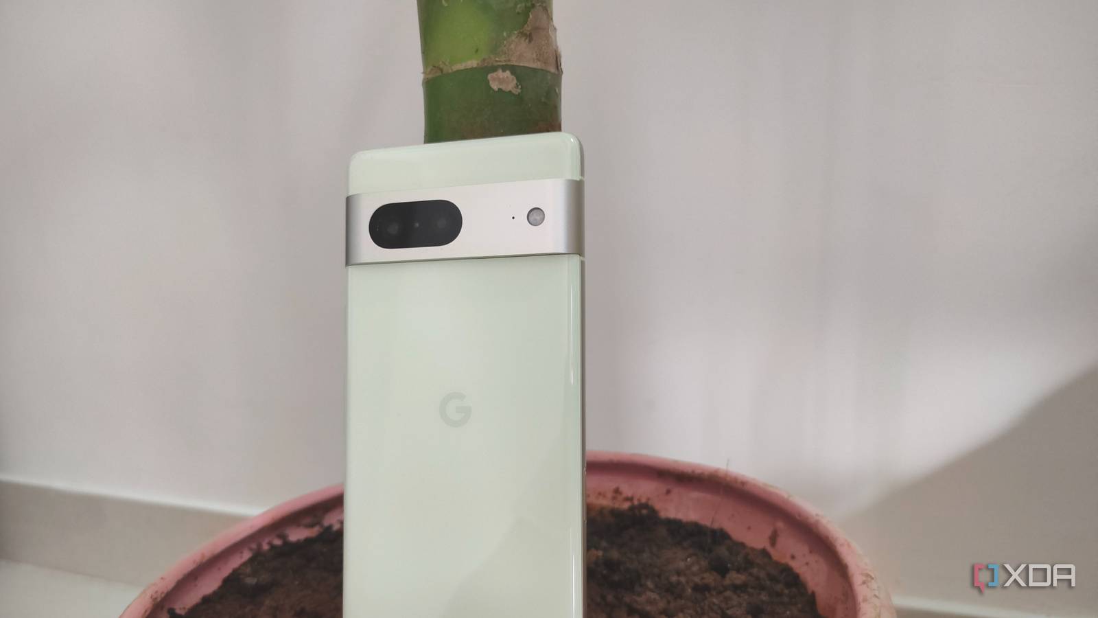 A Pixel 7 phone shown upright near a plant