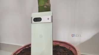 A Pixel 7 phone shown upright near a plant