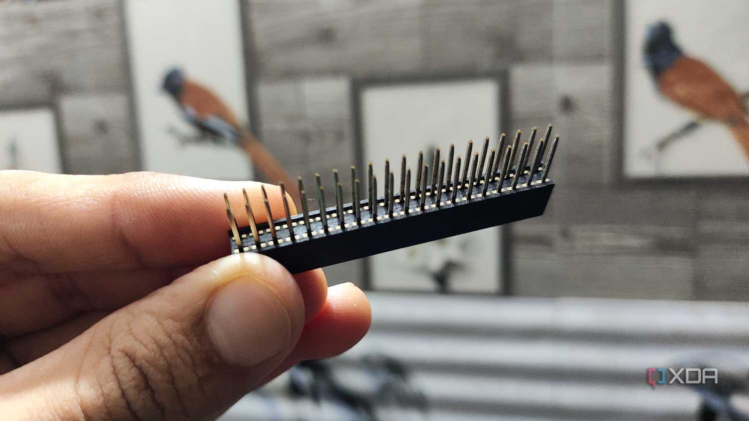 A person holding a GPIO stacking header