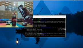 Testing the Object Detection capabilities of the Raspberry Pi AI Kit using the Yolov8 model