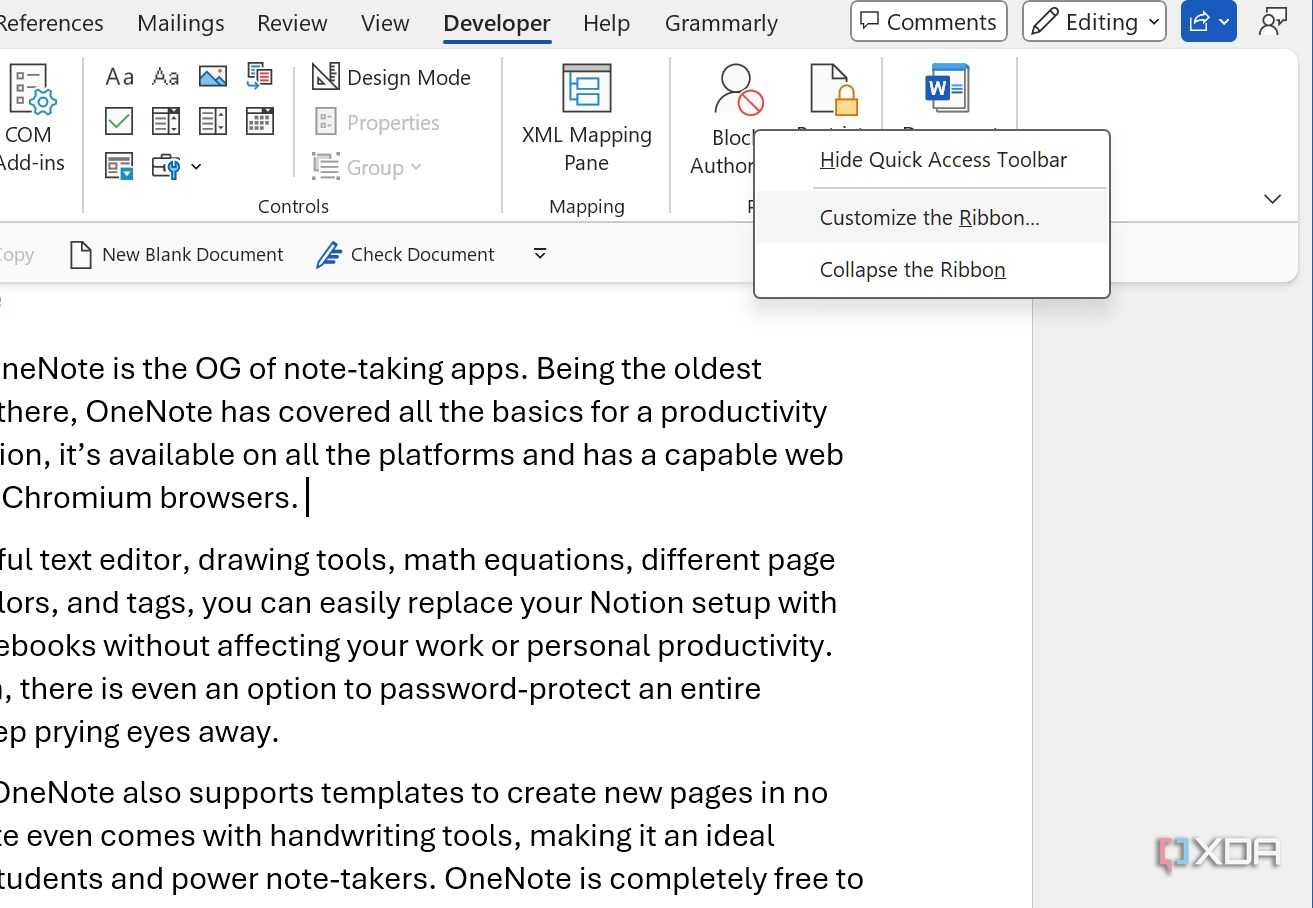 Microsoft Word customization