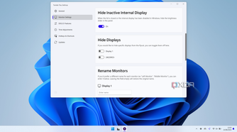 Screenshot of Twinkle Tray settings for hiding and renaming displays