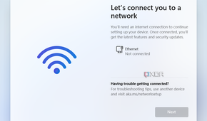 Screenshot of Windows 11 OOBE showing the network page when there's no network available