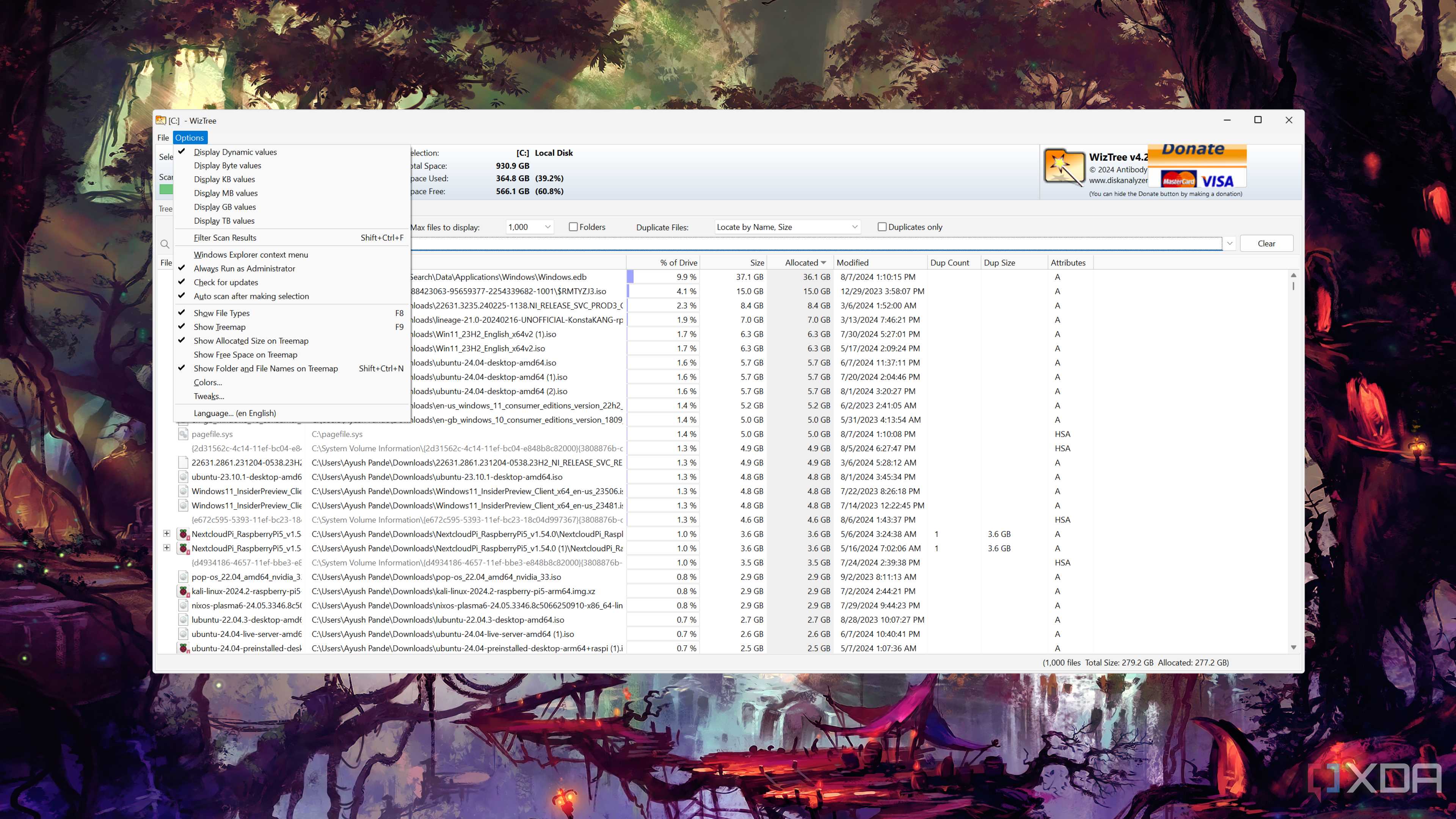 The WizTree UI with the Options tab expanded