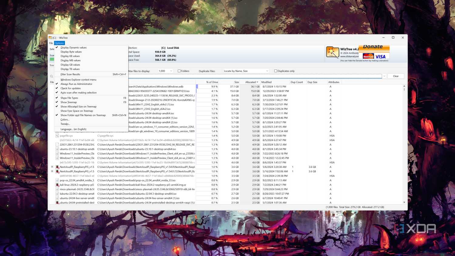 The WizTree UI with the Options tab expanded