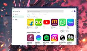 The Google Play Store on BlueStacks