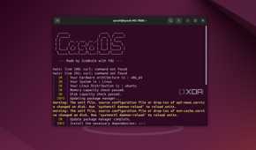 The CasaOS icon in the Ubuntu terminal