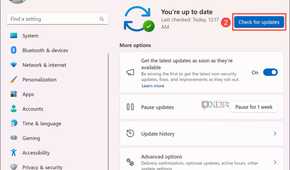 Screenshot of checking Windows Update