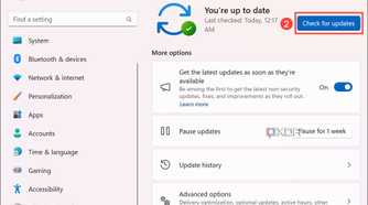 Screenshot of checking Windows Update