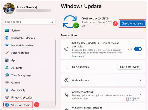 Screenshot of checking Windows Update