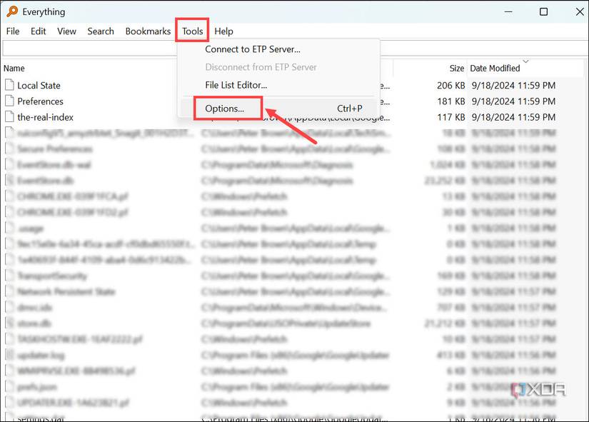 Screenshot of Everything Options