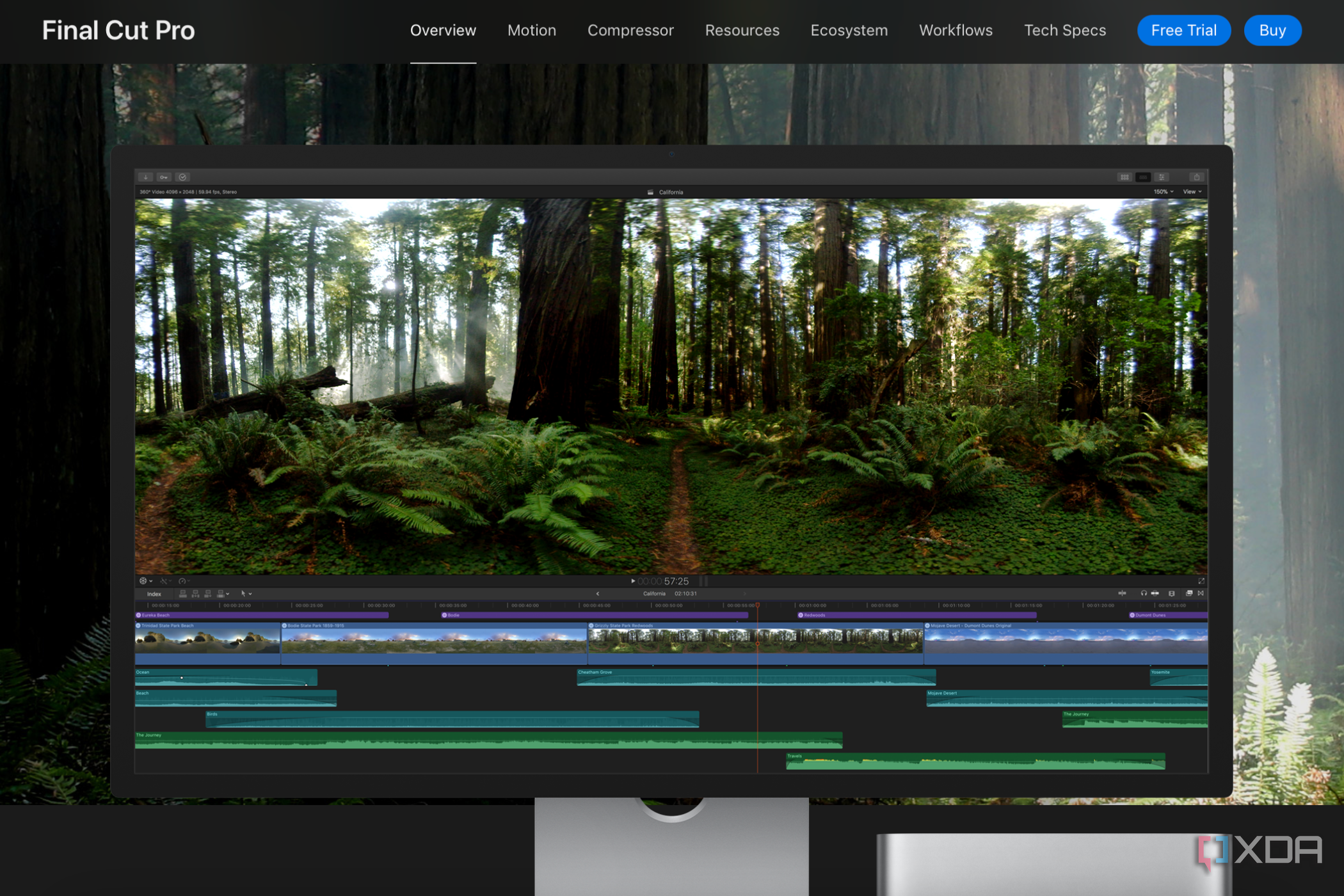 Final Cut Pro video software with video of a forest on the timeline
