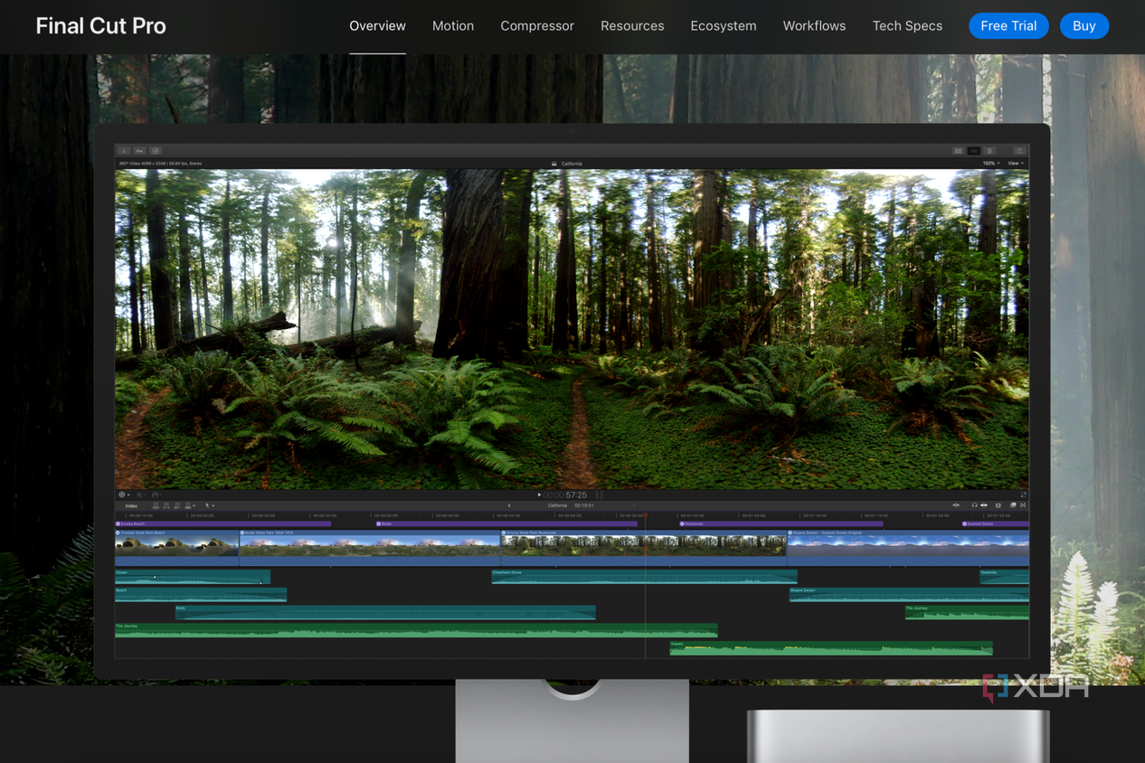 Final Cut Pro video software with video of a forest on the timeline