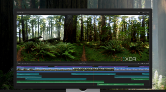Final Cut Pro video software with video of a forest on the timeline