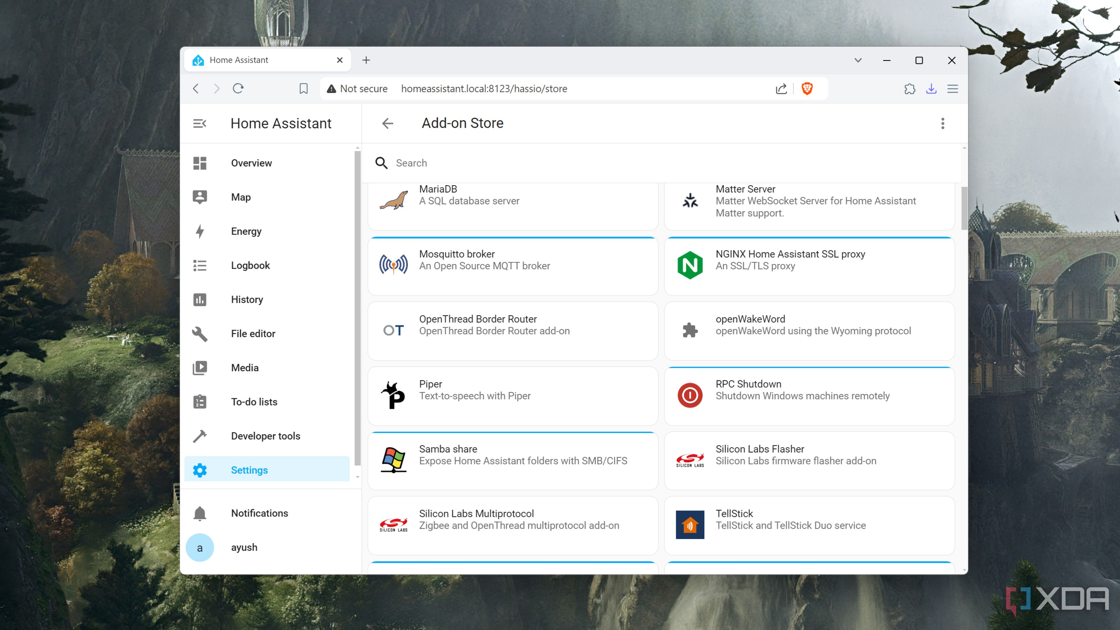The Add-on Store inside the Home Assistant UI