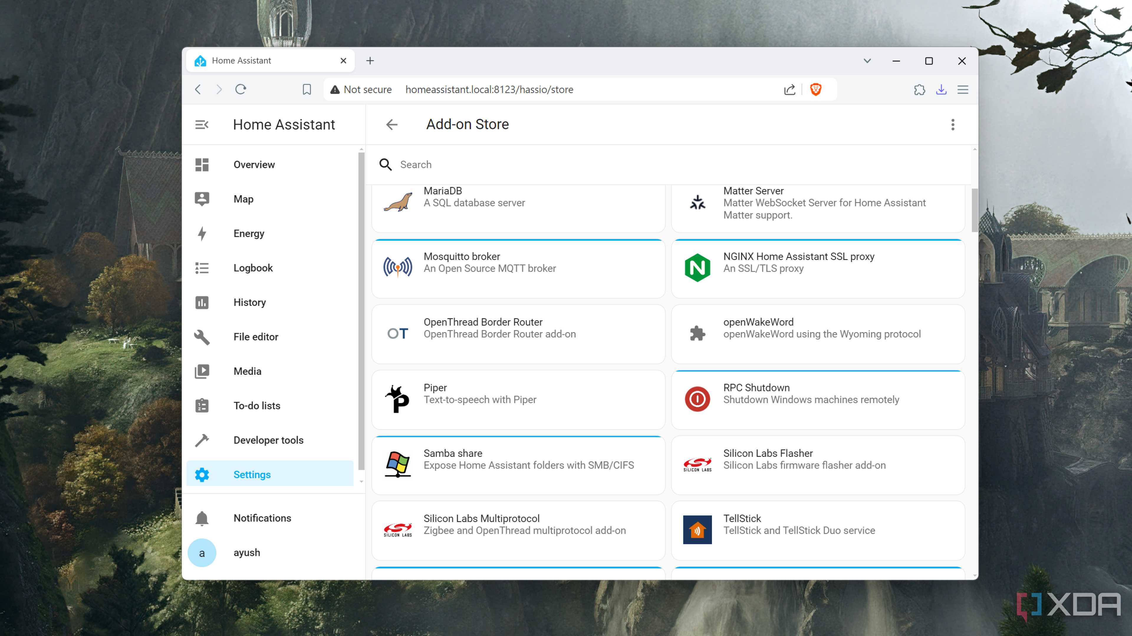 The Add-on Store inside the Home Assistant UI
