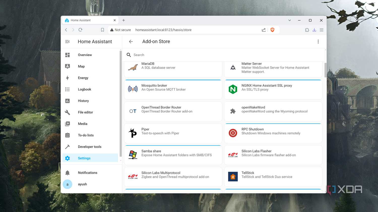 The Add-on Store inside the Home Assistant UI