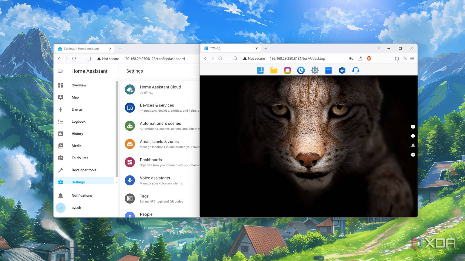 Home Assistant running on a TerraMaster NAS