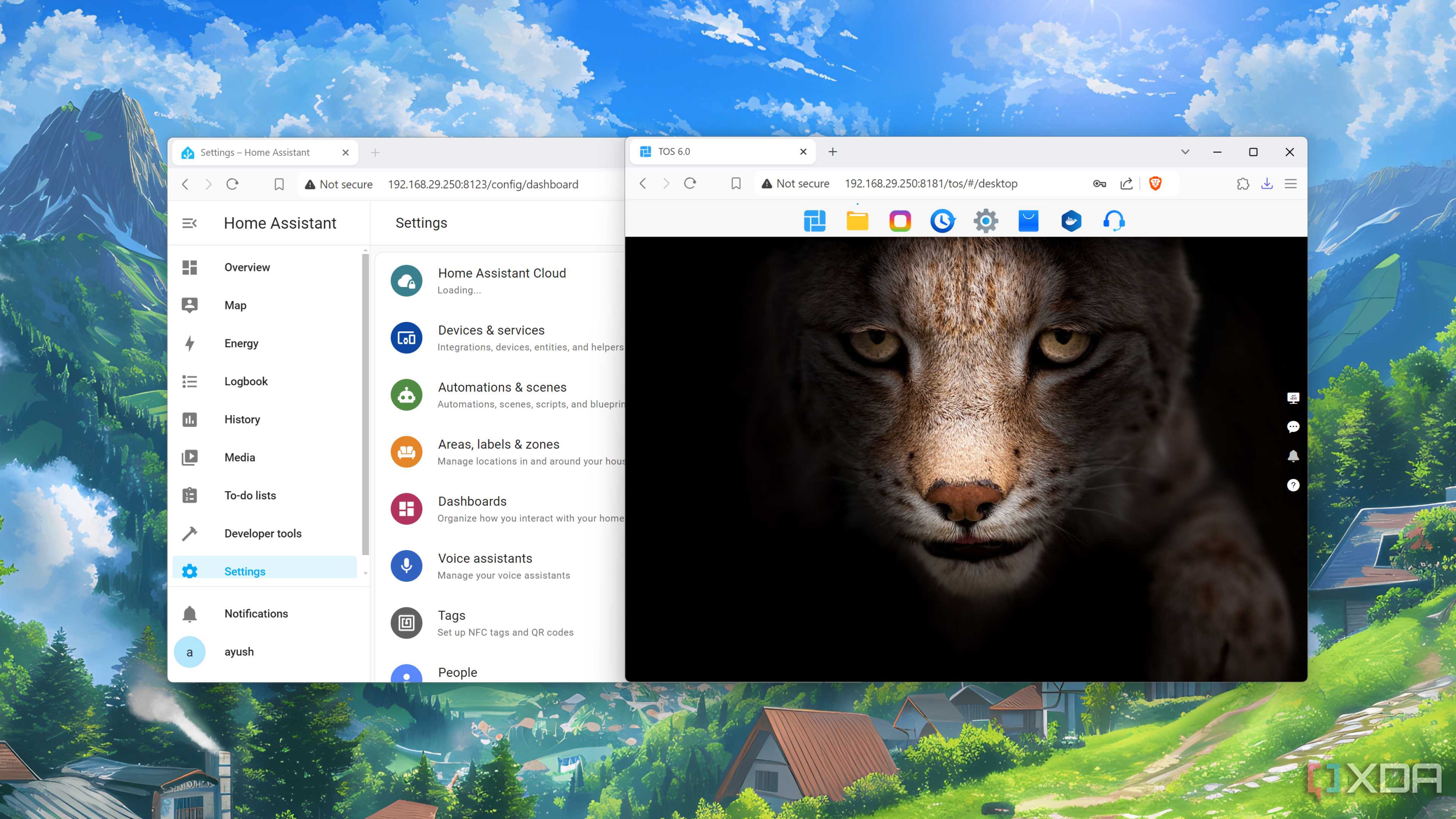 Home Assistant running on a TerraMaster NAS