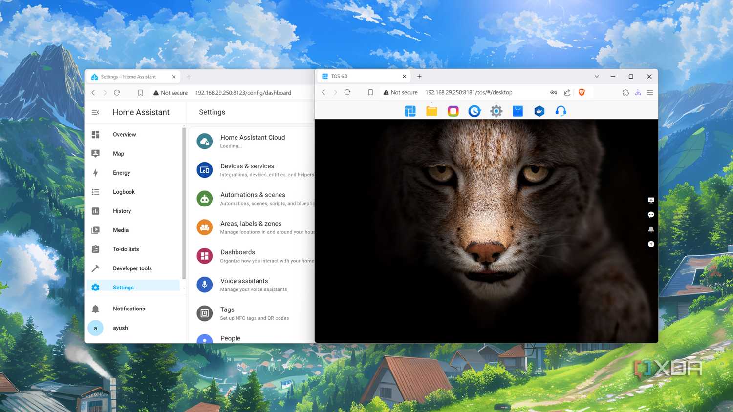 Home Assistant running on a TerraMaster NAS