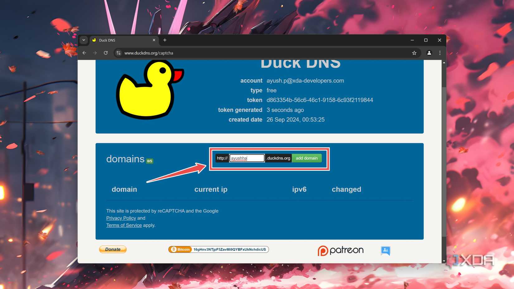 Entering a custom domain name in the DuckDNS website