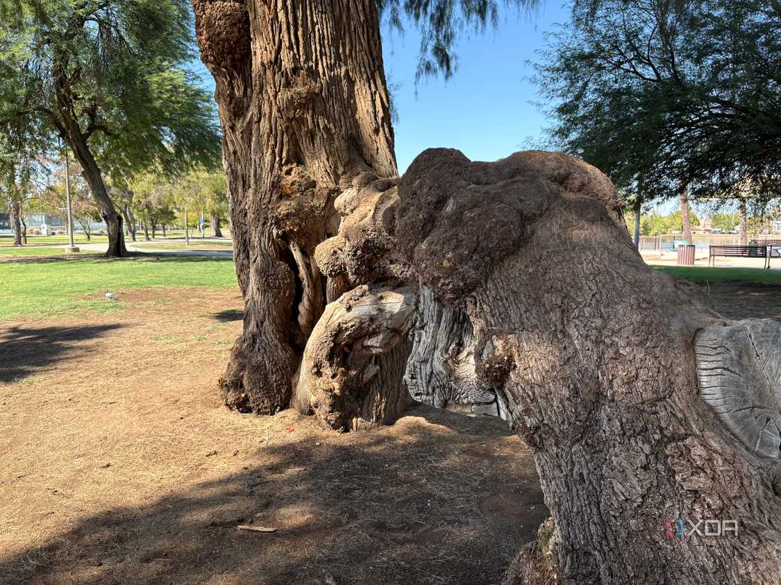 iPhone-16-Camera-Samples-110