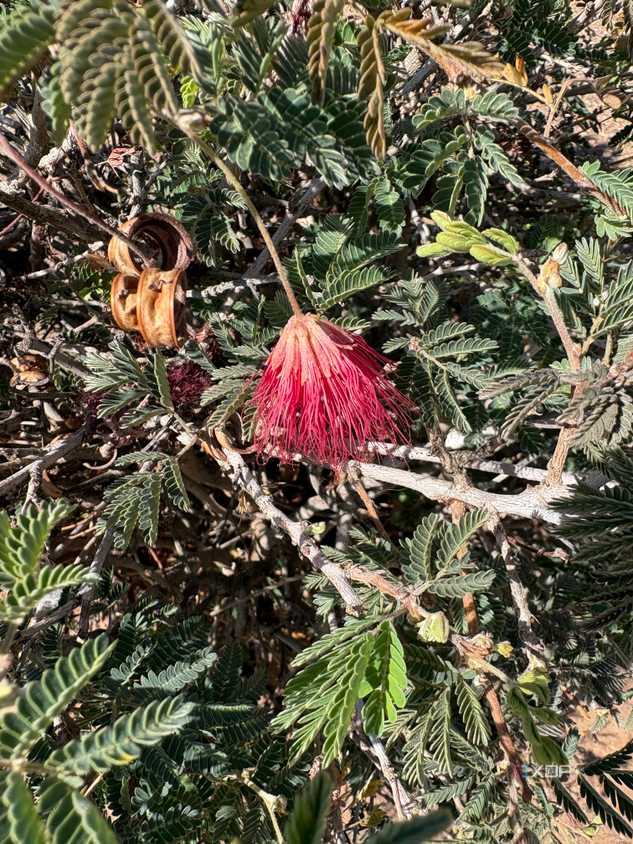 iPhone-16-Camera-Samples-134