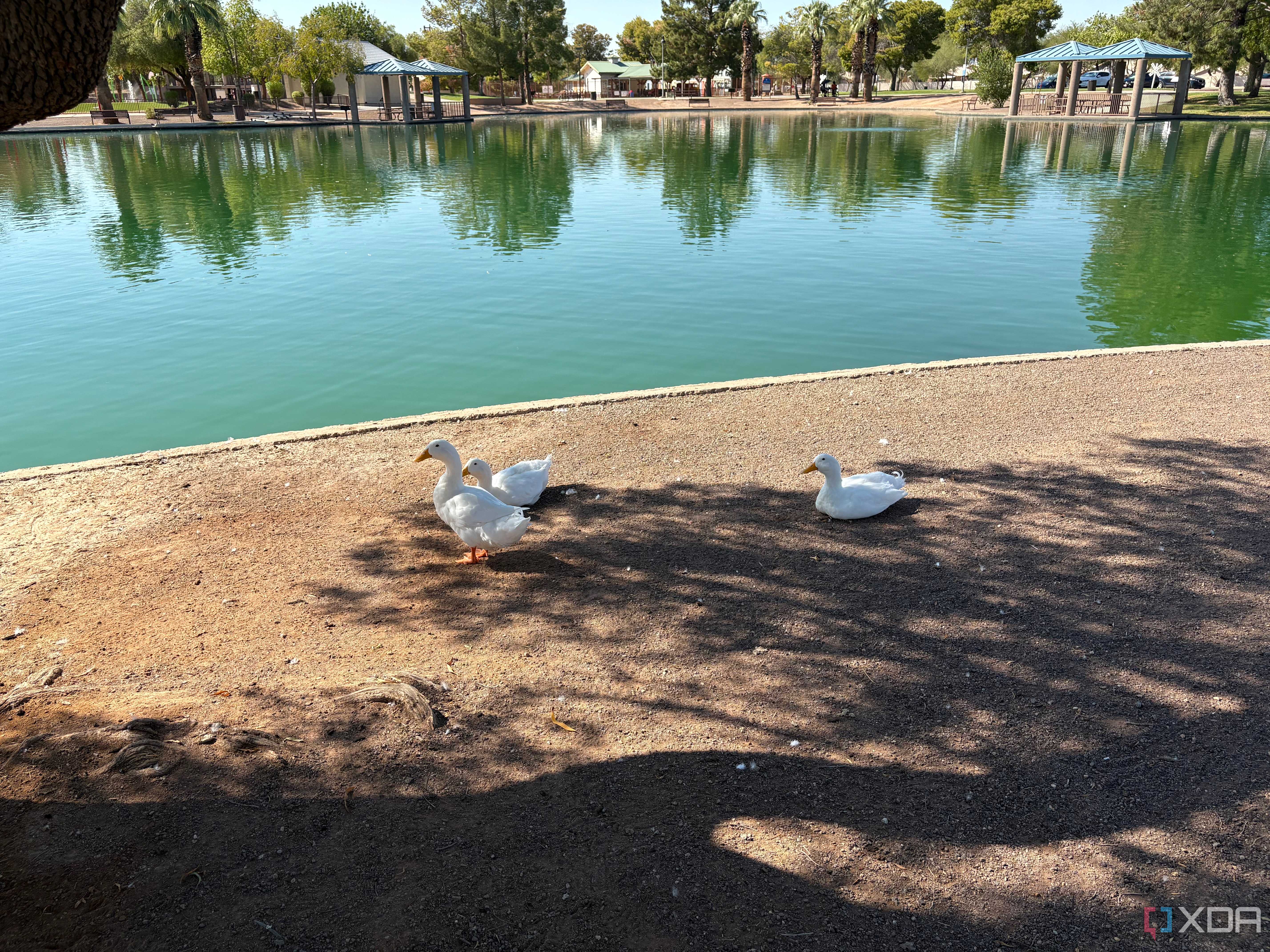 iPhone-16-Camera-Samples-136