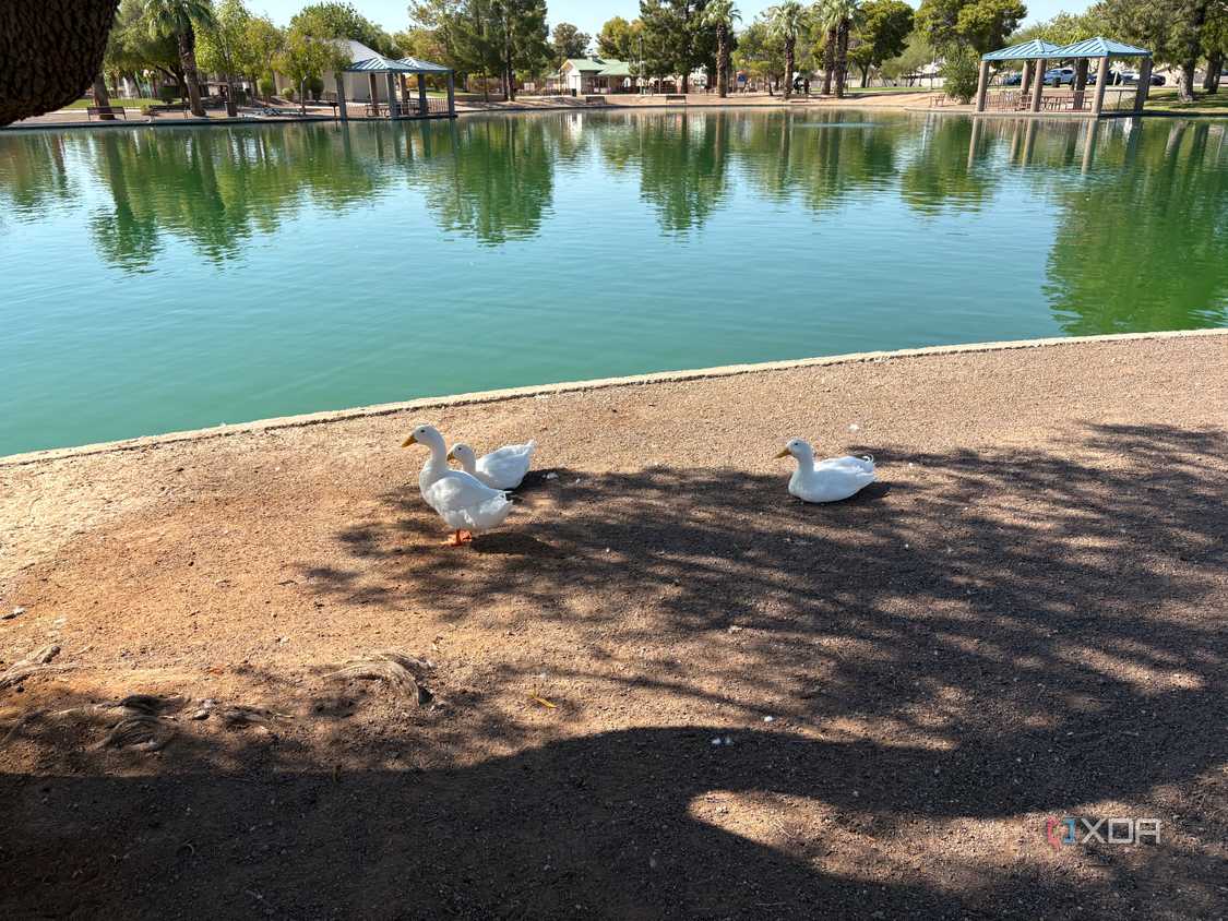 iPhone-16-Camera-Samples-136