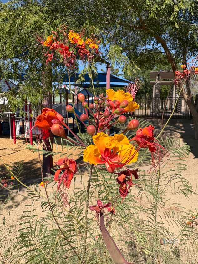 iPhone-16-Camera-Samples-67