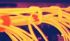 bundles of orange ethernet cables