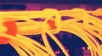 bundles of orange ethernet cables