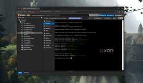 Running the command to check the Paperless-ngx web UI credentials on Proxmox