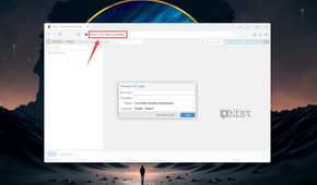 Entering the IP address to access the Proxmox web UI into a browser