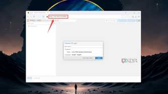 Entering the IP address to access the Proxmox web UI into a browser