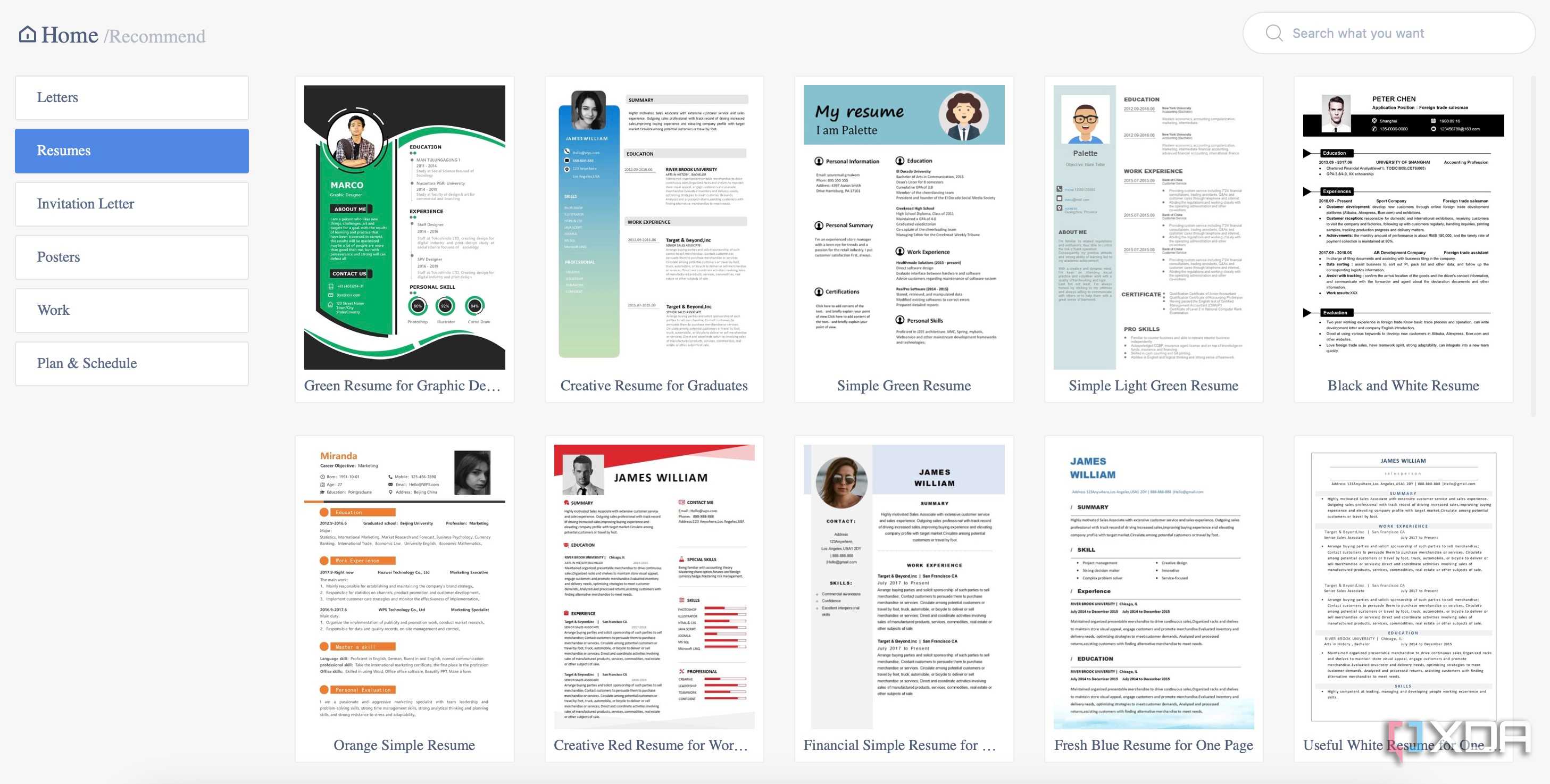 WPS Office templates